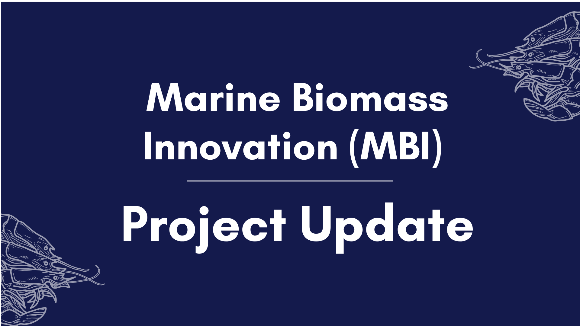 Project Update